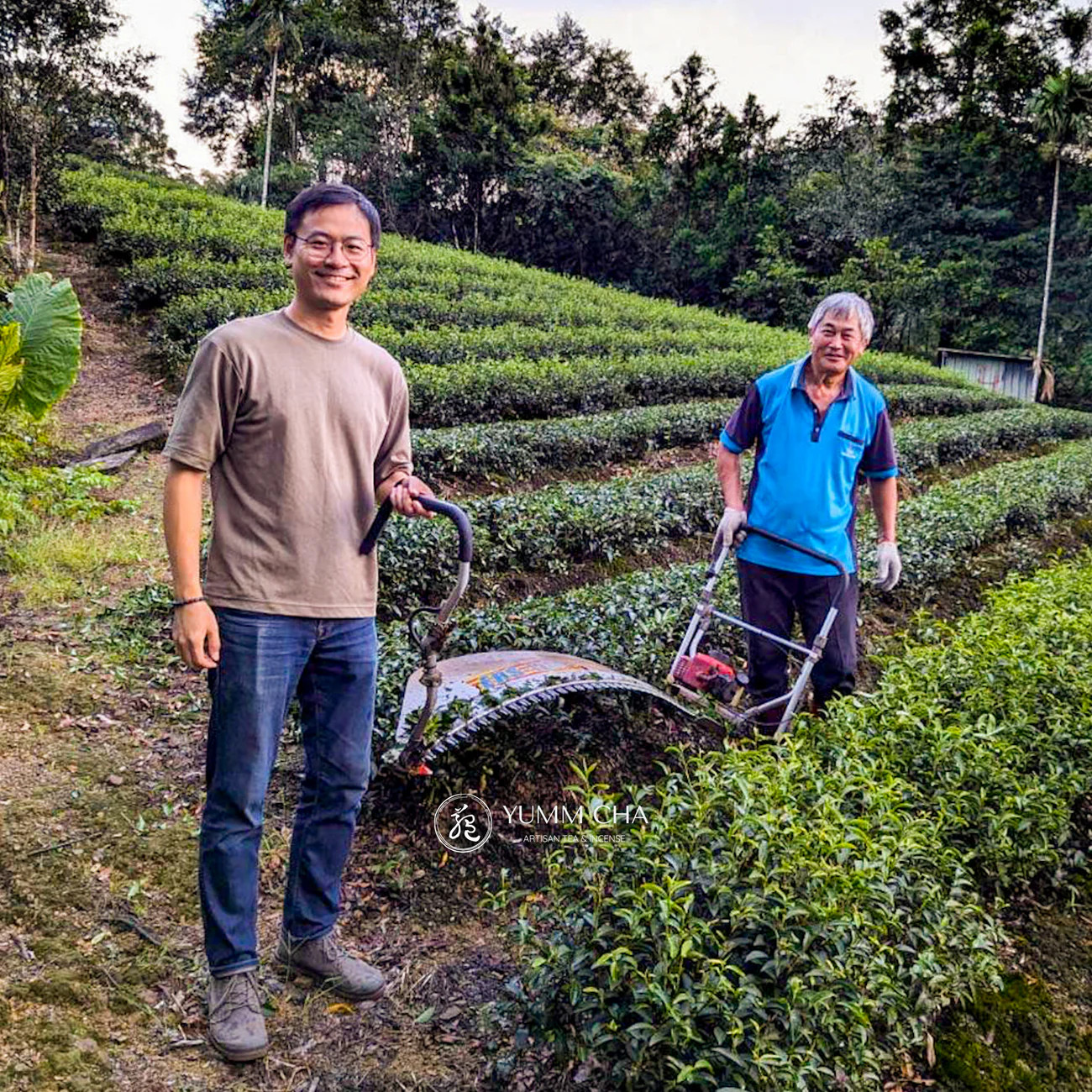 About Us YUMM CHA. Born and grew up in Taiwan and Guangdong, now settled in Amsterdam. They look forward to meeting you for a cup of tea. Loves, Lionel & Macey